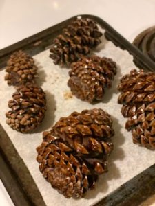 Cleaned and prepared pine cones to make pine cone leprechaun easy kids st. Patrick’s day craft