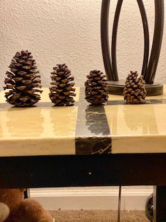 4 pine cones that have been cleaned in a water and vinegar bath, and then baked in the oven to fully dry and kill bugs.