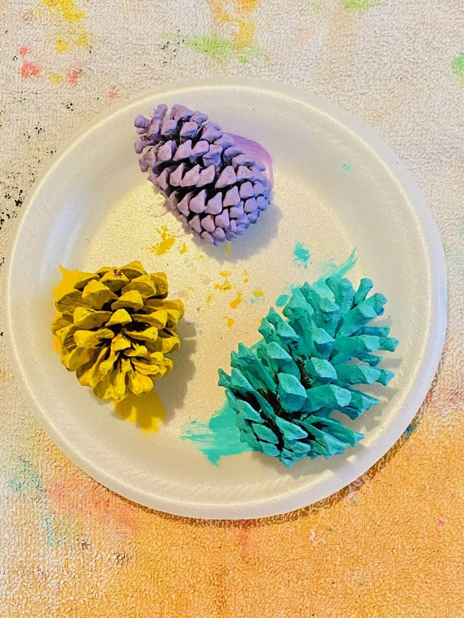Painted pine cone flowers