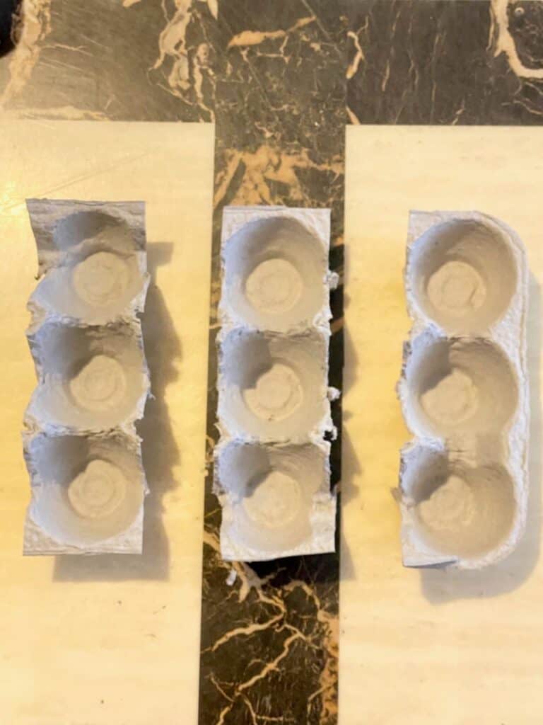 Cut the individual egg cups out of the egg carton
