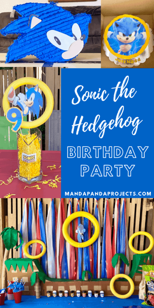 DIY Sonic the Hedgehog Birthday Party with decorations, party favors, props, centerpiece and a pinata.