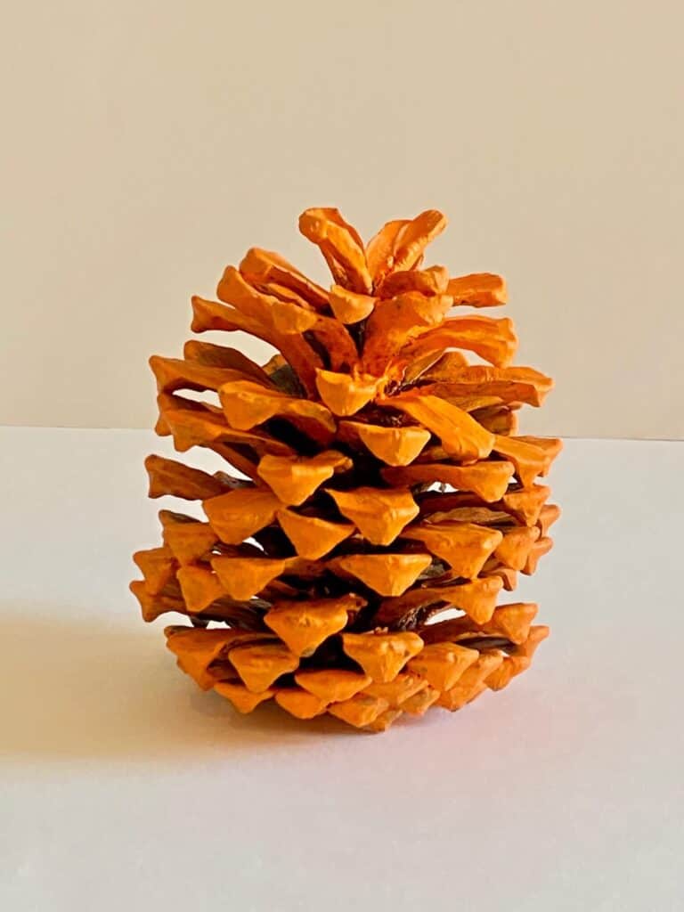 Paint the pine cone orange, with hand paint or spray paint.