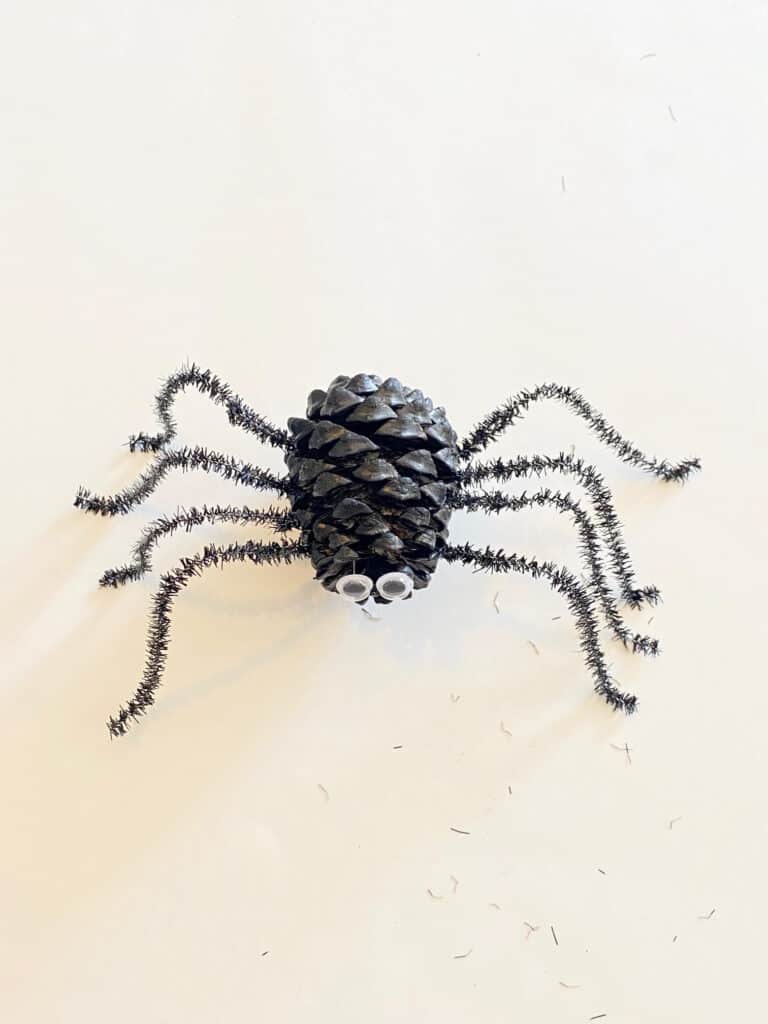 Glue 4 pipe cleaner "legs" onto each side of the black painted pine cone body to make the spider.