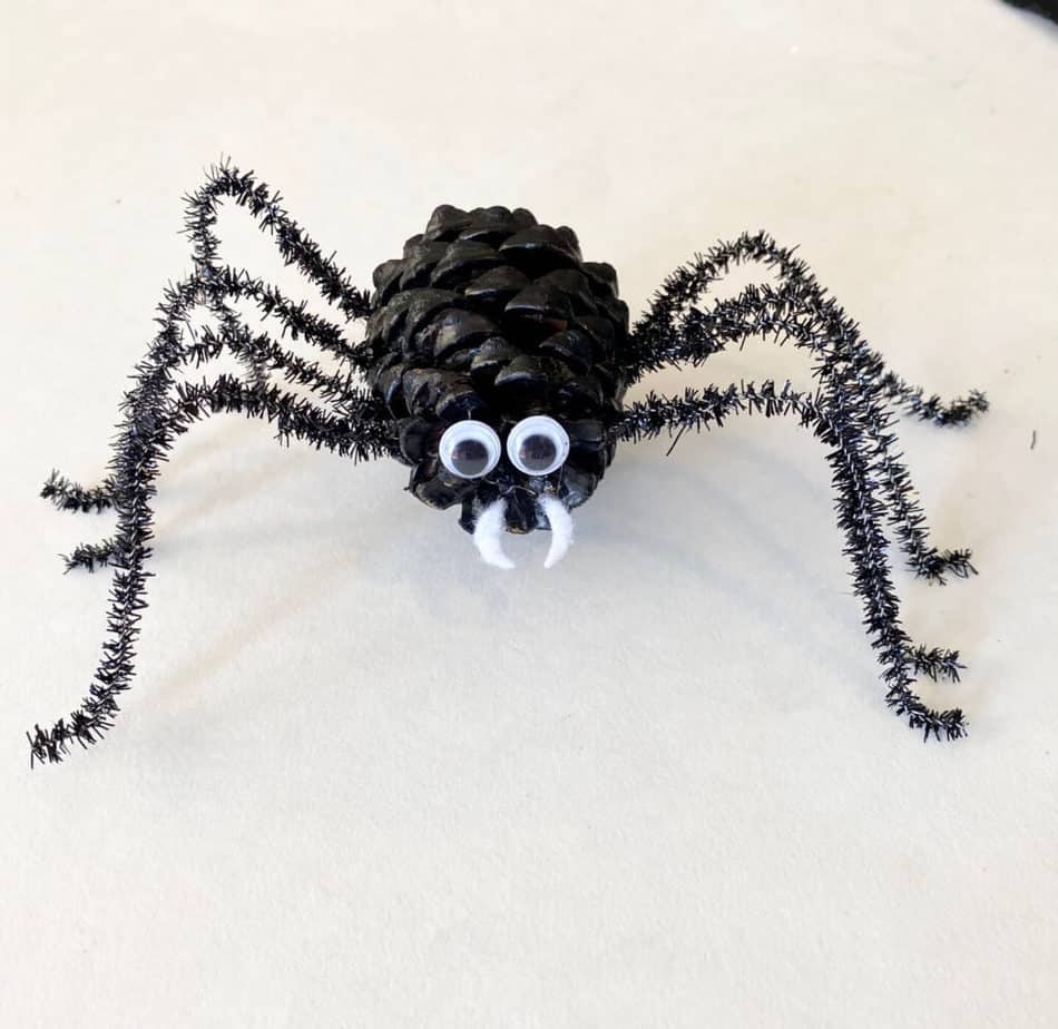 Glue the "fangs" and the googly eyes to the front/top of the pine cone to make the spiders face.