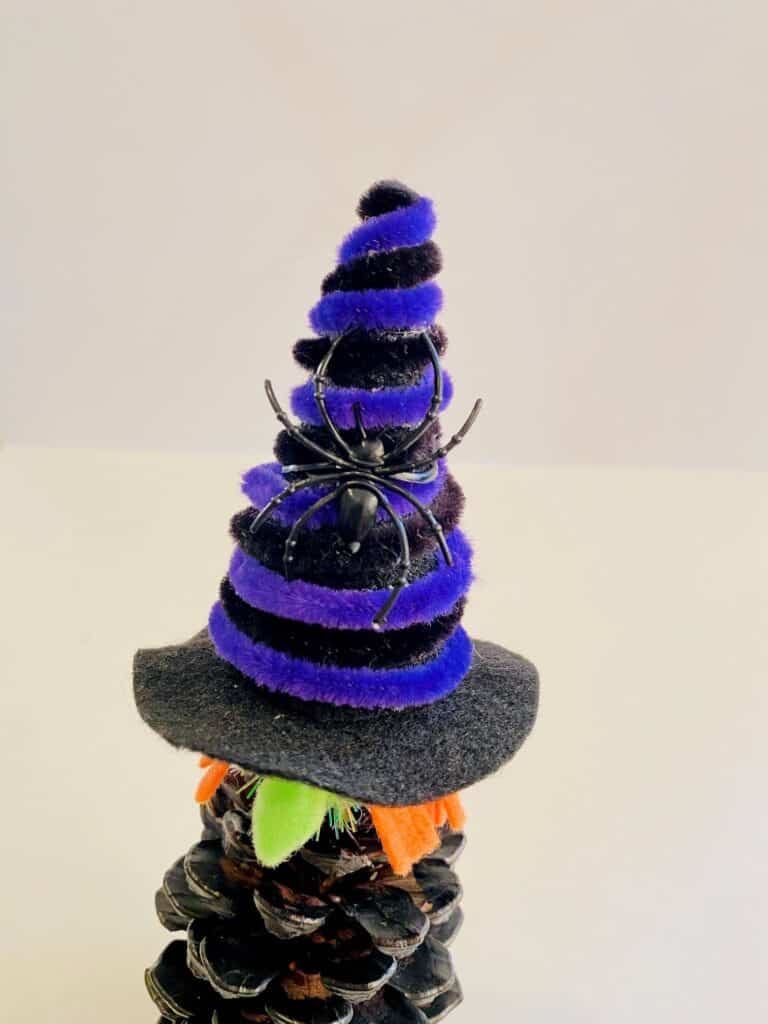 Don't forget to add the fake spider to the witches hat for extra creepiness!
