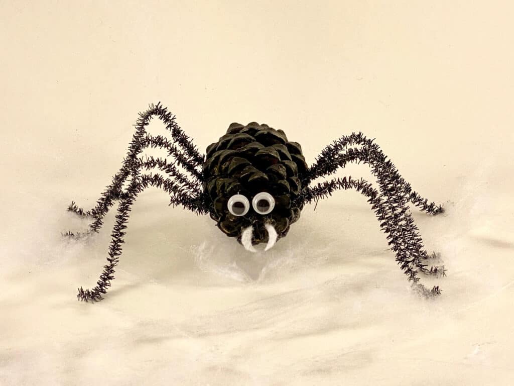 How to make a Pine cone spider for a halloween nature craft for kids. 