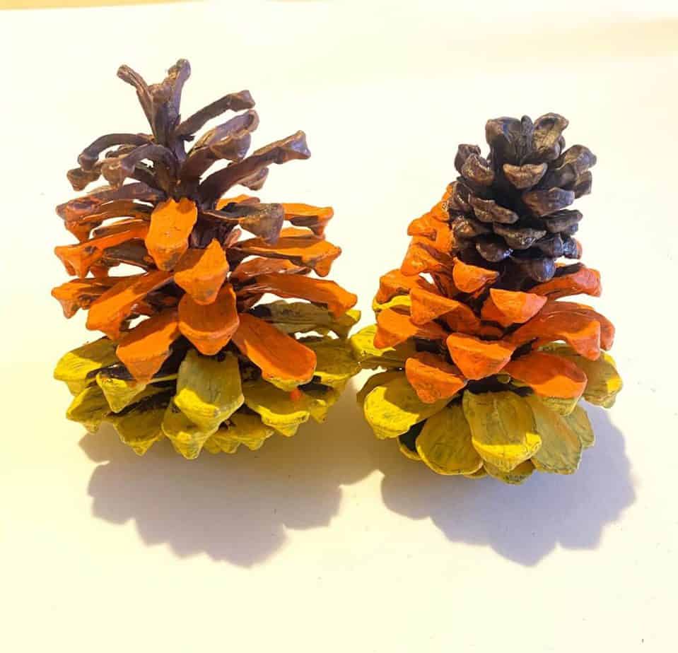 Paint the middle third of the pine cone orange