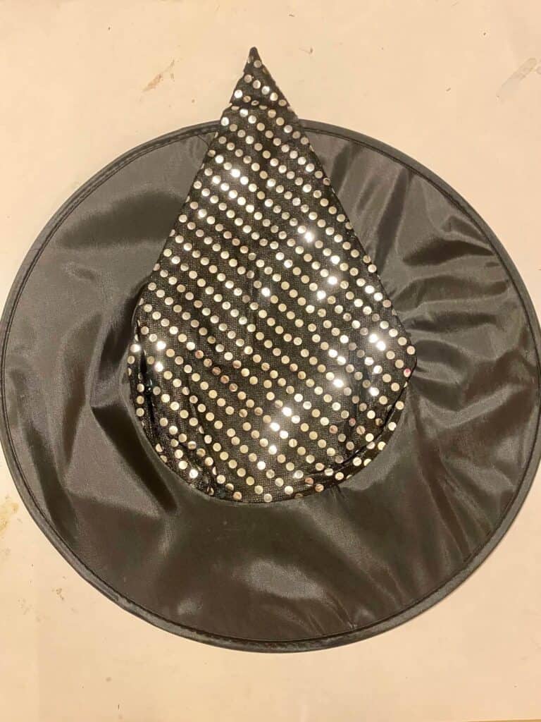 Plain black with silver dots dollar tree witch hat.