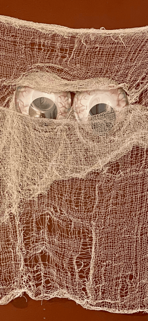 DIY dollar tree mummy with Jumbo googly eyes staring at you.