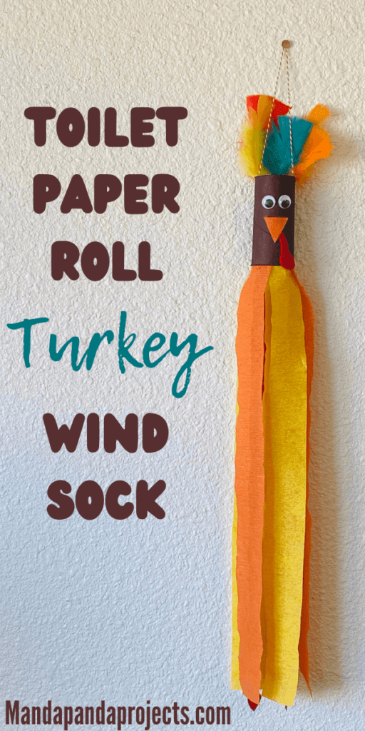 Toilet paper roll recycled craft Turkey windsock for kids.
