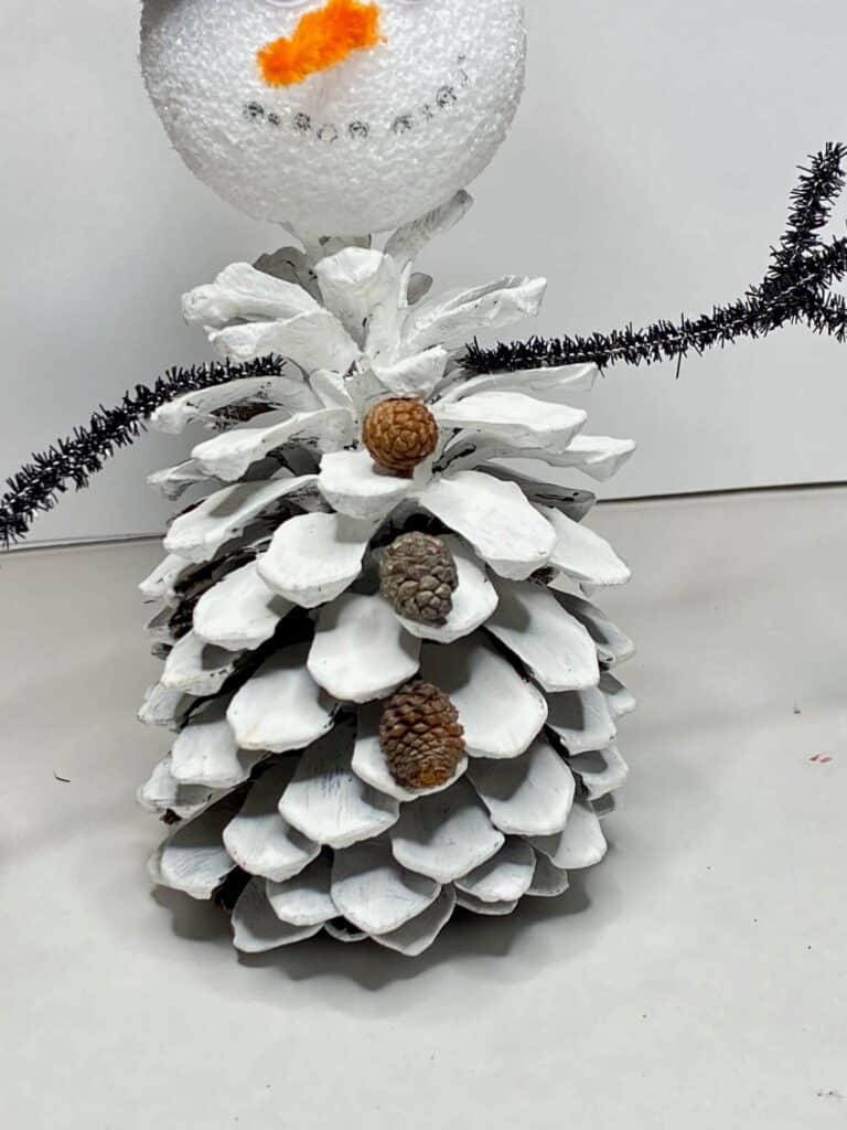 Mini pine cones glued to the front of the white pine cone  to look like "buttons".