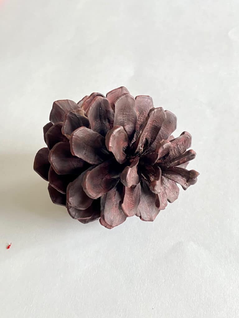 Large pine cone painted brown.