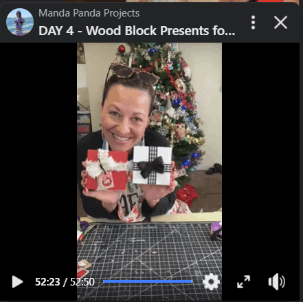 Amanda holding the completed project on a facebook live thumbnail.