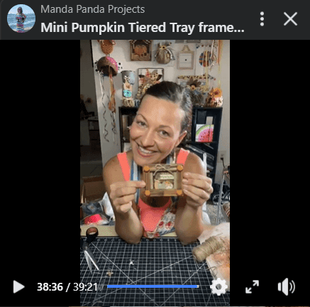 Amanda holding the completed mini frame on a facebook live thumbnail.