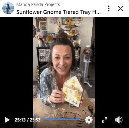 Amanda holding the completed project on a Facebook Live thumbnail.