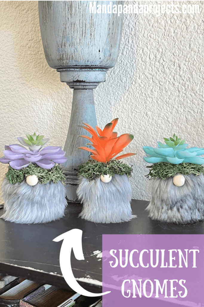 Mini Succulent gnomes with faux fur beards and colored succulents made with mini terra cotta pot planters with green reindeer moss for fun spring and year round crafts and decor.