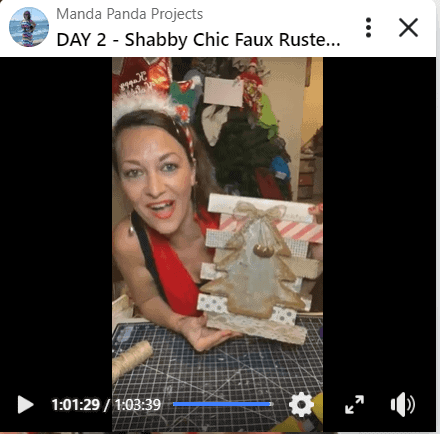 Amanda holding the completed Christmas project on a Facebook live thumbnail.