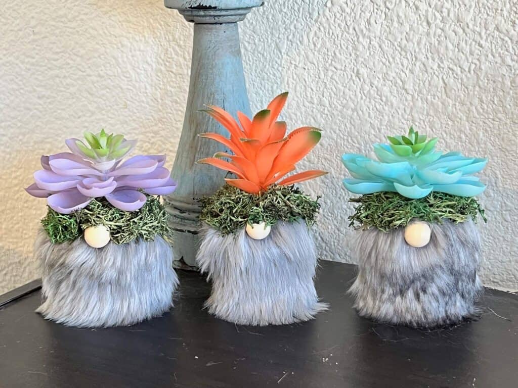 Mini Succulent gnomes with faux fur beards and colored succulents made with mini terra cotta pot planters with green reindeer moss for fun spring and year round crafts and decor.