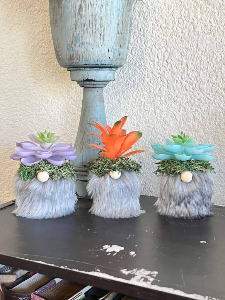 Mini Succulent gnomes with faux fur beards and colored succulents made with mini terra cotta pot planters with green reindeer moss for fun spring and year round crafts and decor.