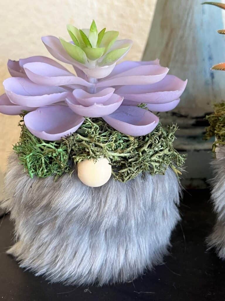 Top portion of the succulent gnome showing the purple succulent, the reindeer moss and the wood bead nose.