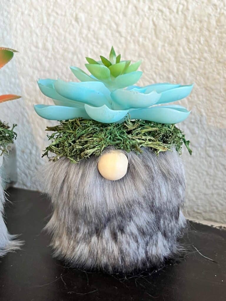 Mini terra cotta pot gnome with a Teal color succulent.