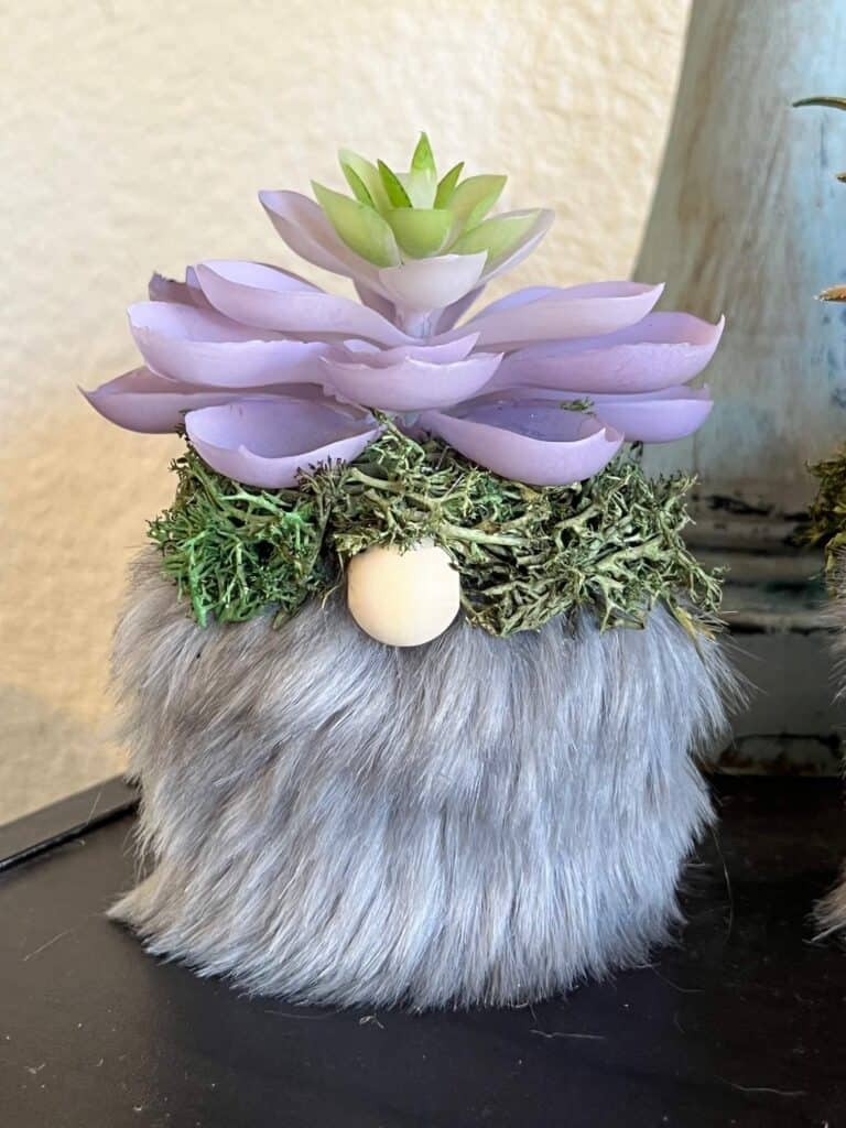 Mini terra cotta pot gnome with a Purple color succulent.