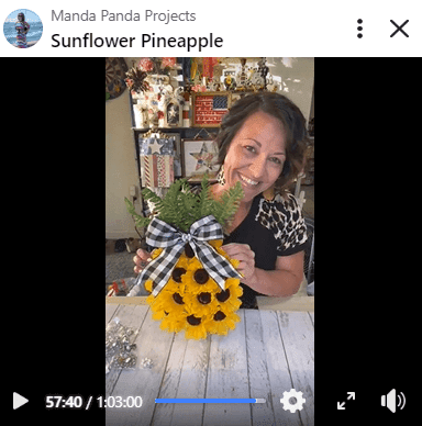 Amanda holding the completed project on a Facebook live.