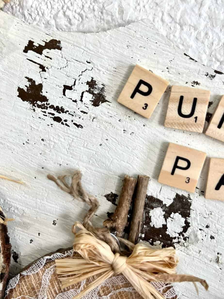 Rustic Leopard and Lace Pumpkin Patch - Manda Panda Projects