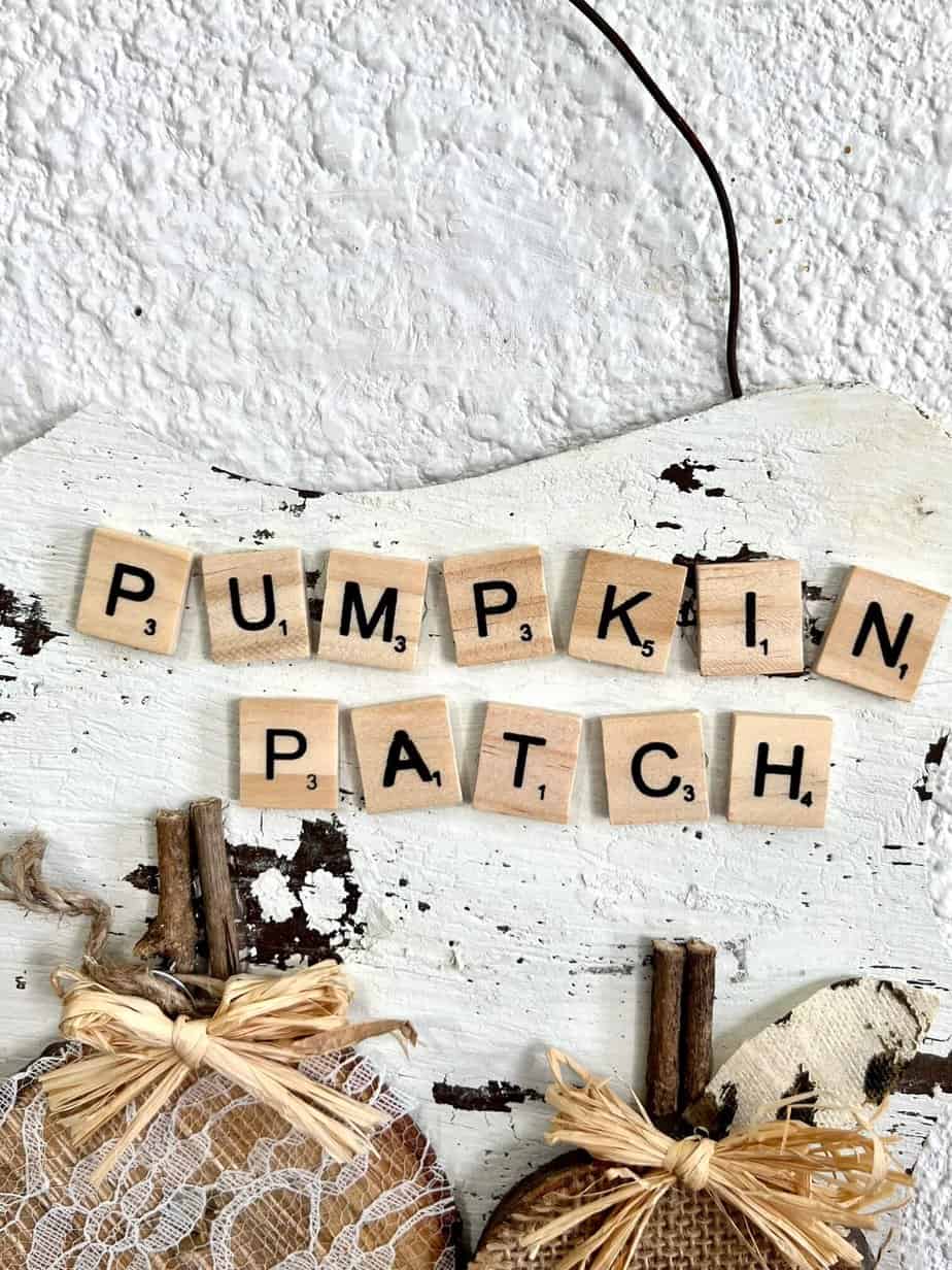 Rustic Leopard and Lace Pumpkin Patch - Manda Panda Projects