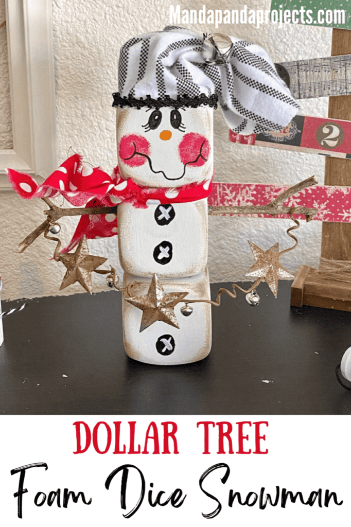 Dollar Tree Merry and Bright Pizza Pan Decor - Manda Panda Projects