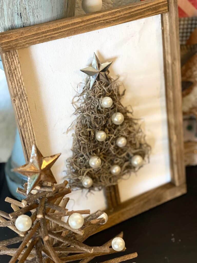 Looking down at the top of the spanish moss christmas tree with the metal star on top.