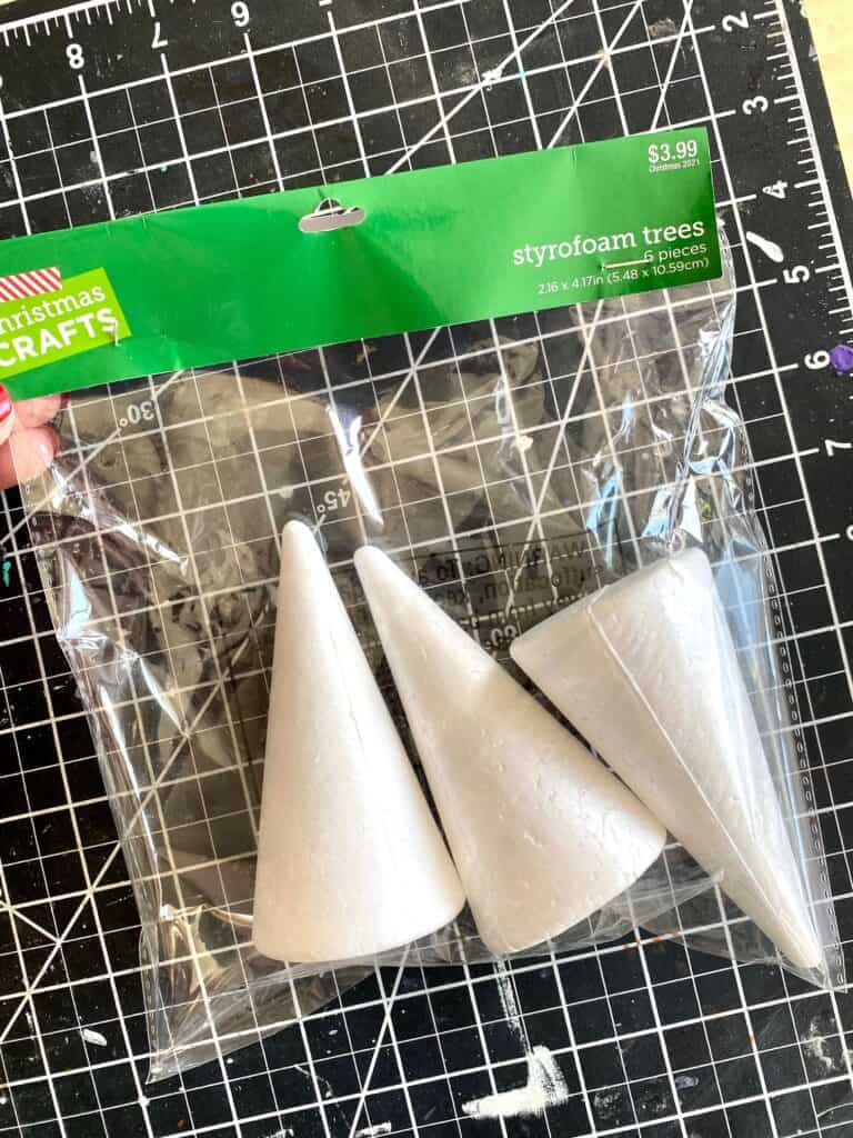 Mini foam cones in a bag.