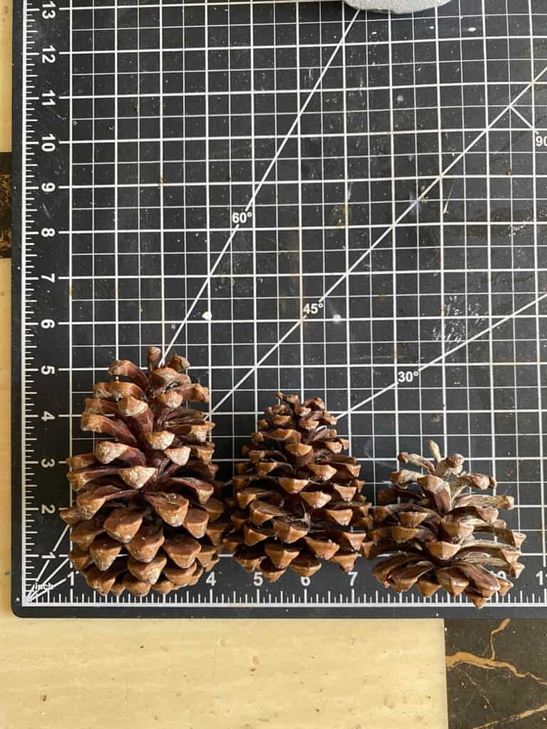 3 pine cones on a craft mat from biggest to smallest showing 5", 4", and 3".