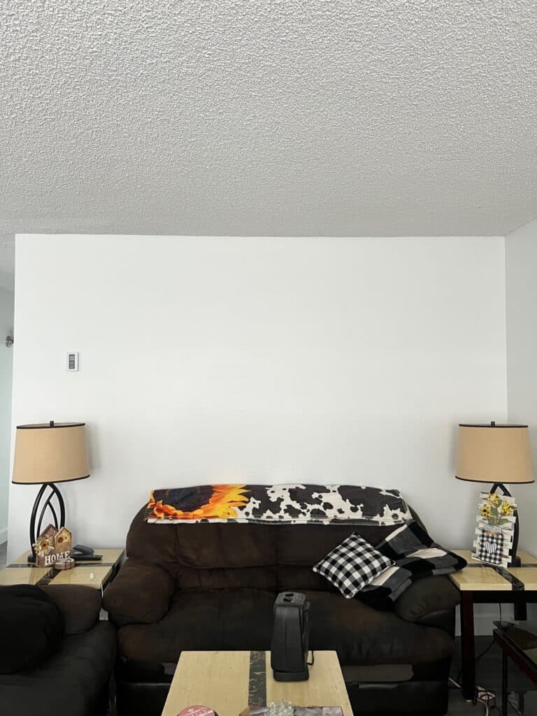 Empty wall above a couch.