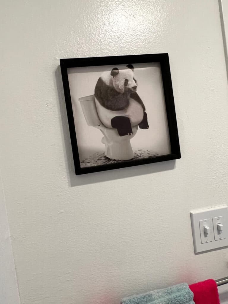 A print of a panda bear sitting on a toilet with a black frame.