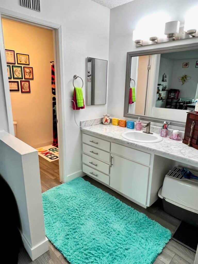 The vanity area of the bathroom showing the decor on the counter and the teal plush rug.