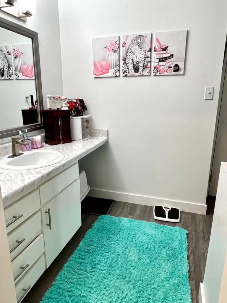 The vanity area of the bathroom with a leopard canvas and a teal rug.