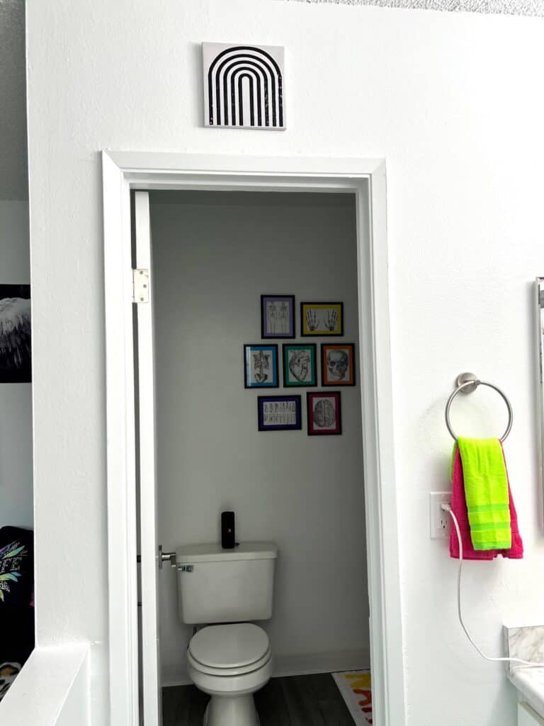 A view of the bathroom from the vanity area showing the black and white rainbow.