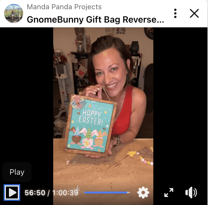 Amanda holding the completed craft on a FB live thumbnail.