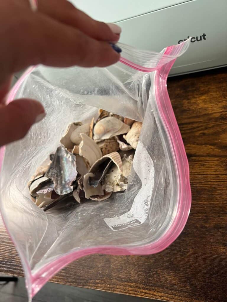 An open bag of seashells.