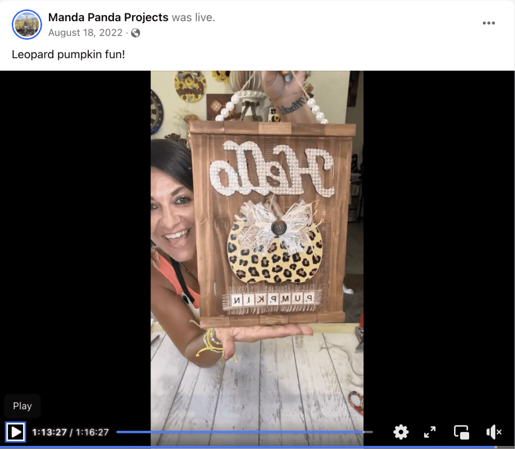 Amanda holding the completed craft up on a facebook live thumbnail.