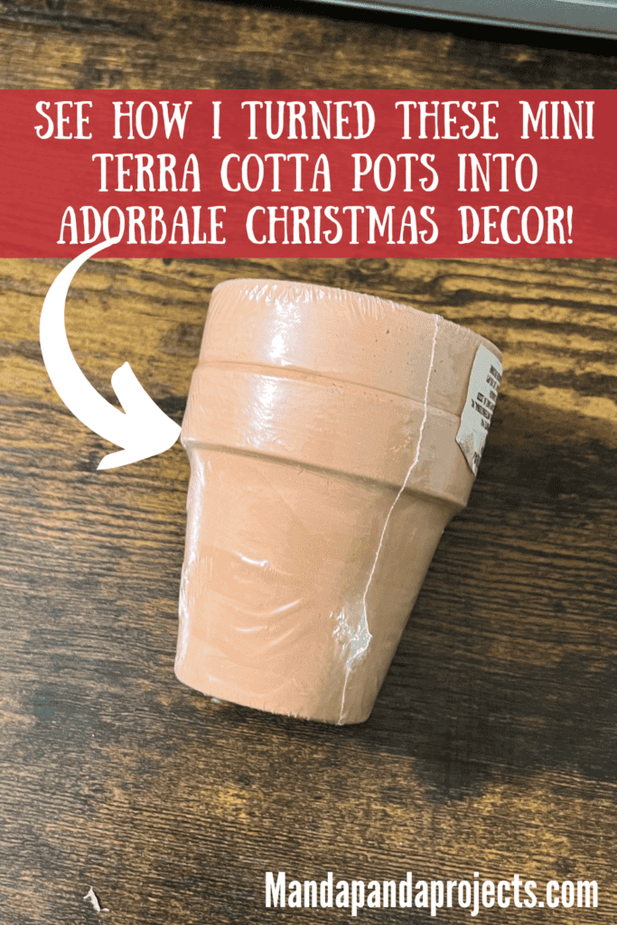 2 mini terra cotta pots in the package on the table.
