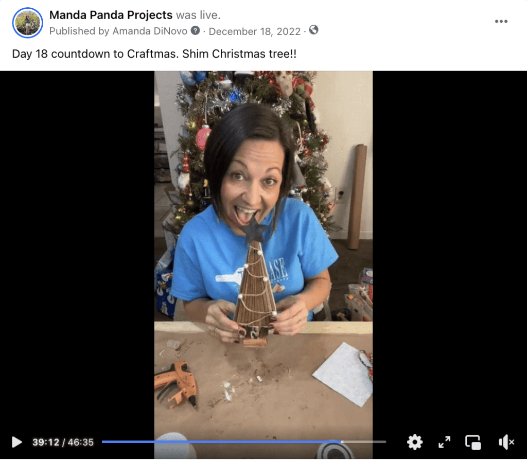 Amanda holding the completed craft on a facebook live thumbnail.