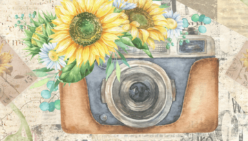 Digital Art collage with a camera and sunflowers.