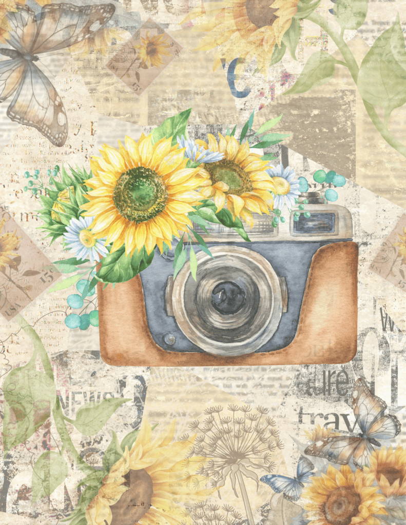 Digital art collage with a camera and sunflowers with a distressed book page background.