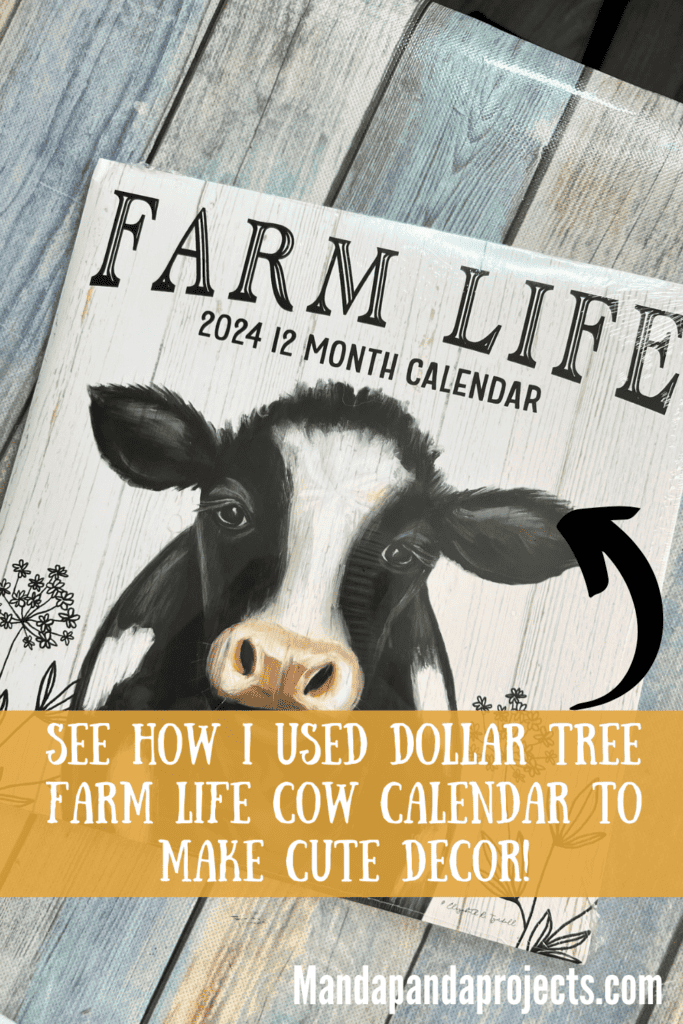 Dollar Tree Farm Life 2024 12 month calendar with a cow on the front.