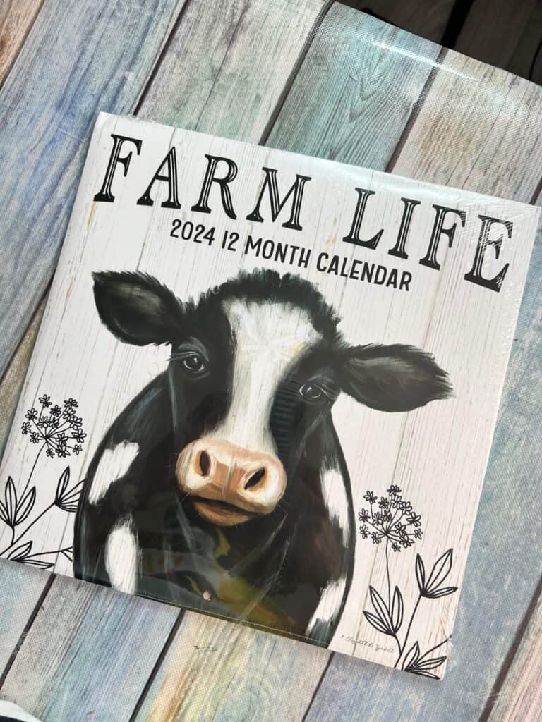 Dollar Tree Farm Life 2024 12 month calendar with a cow on the front.