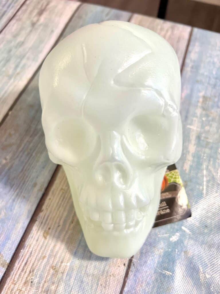 A dollar tree plastic skull.