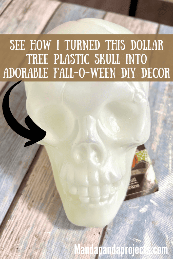 Dollar Tree Plastic Skull.